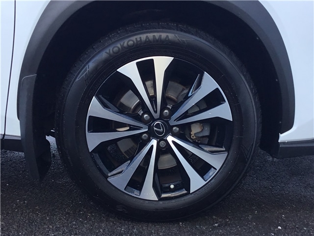 Used Lexus NX 2018 for sale - 76338451: Photo 10