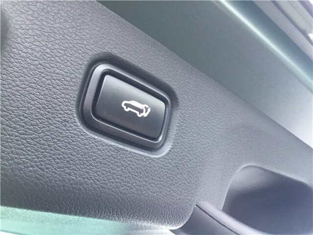 Used Kia Sportage 2024 for sale - 76372377: Photo 17