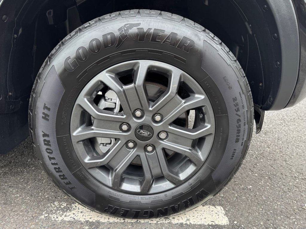 Used Ford Ranger 2024 for sale - 75960948: Photo 11