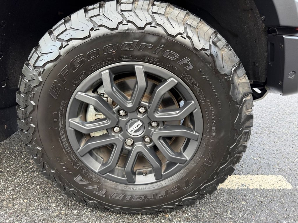 Used Ford Ranger 2024 for sale - 76510274: Photo 10