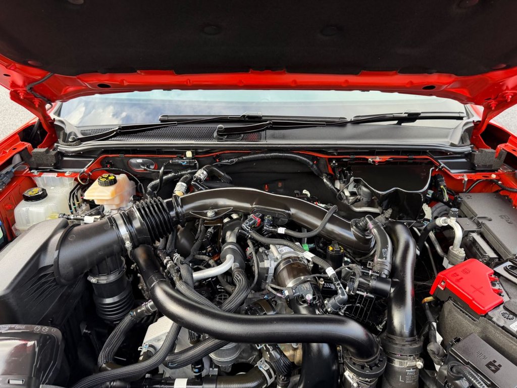 Used Ford Ranger 2024 for sale - 76510274: Photo 29