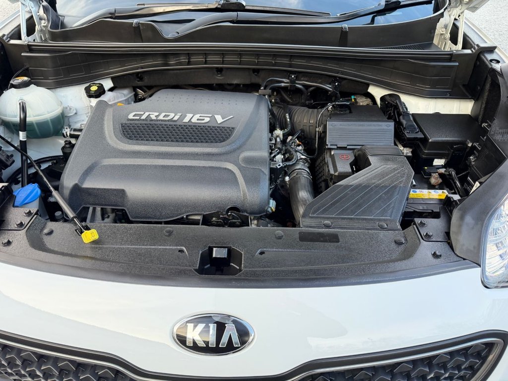 Used Kia Sportage 2016 for sale - 76962131: Photo 24