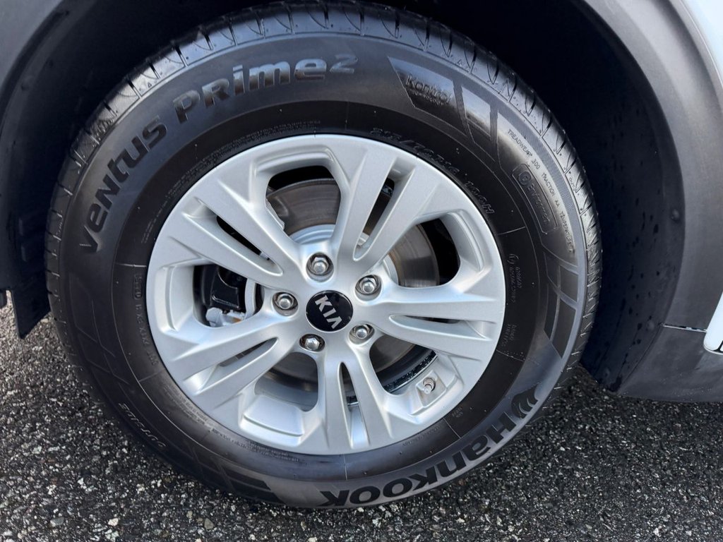 Used Kia Sportage 2016 for sale - 76962131: Photo 39