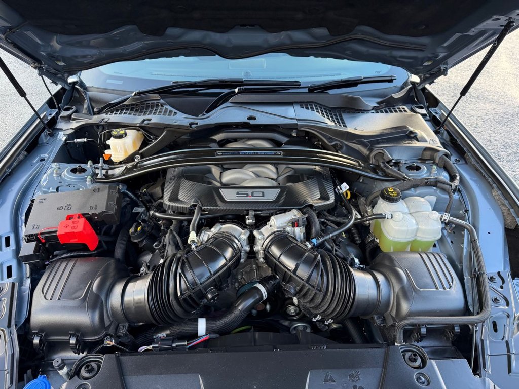 Used Ford Mustang 2025 for sale - 76841688: Photo 23