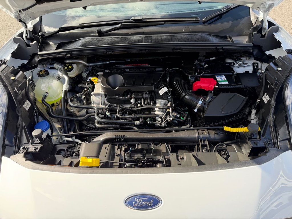 Used Ford Puma 2024 for sale - 78002294: Photo 25