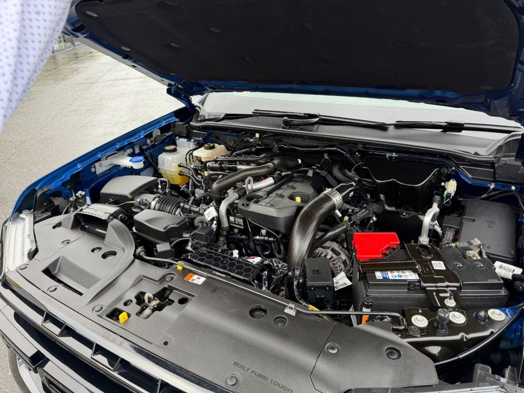 Used Ford Ranger 2024 for sale - 77507040: Photo 24