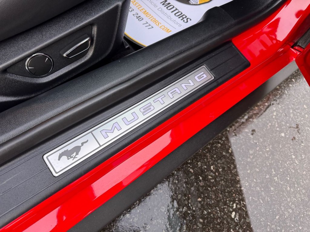 Used Ford Mustang 2019 for sale - 77121461: Photo 14