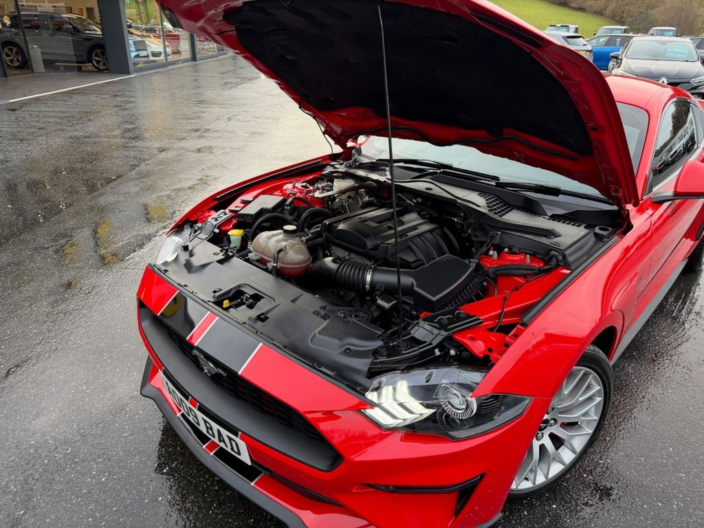 Used Ford Mustang 2019 for sale - 77121461: Photo 23
