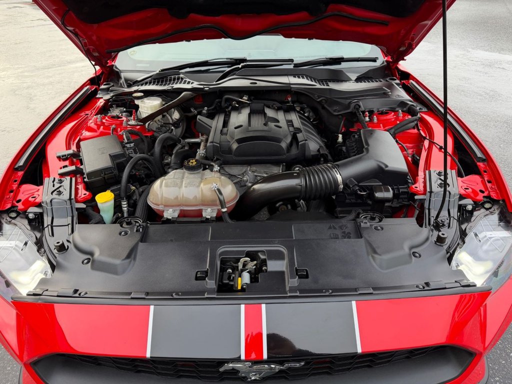 Used Ford Mustang 2019 for sale - 77121461: Photo 24