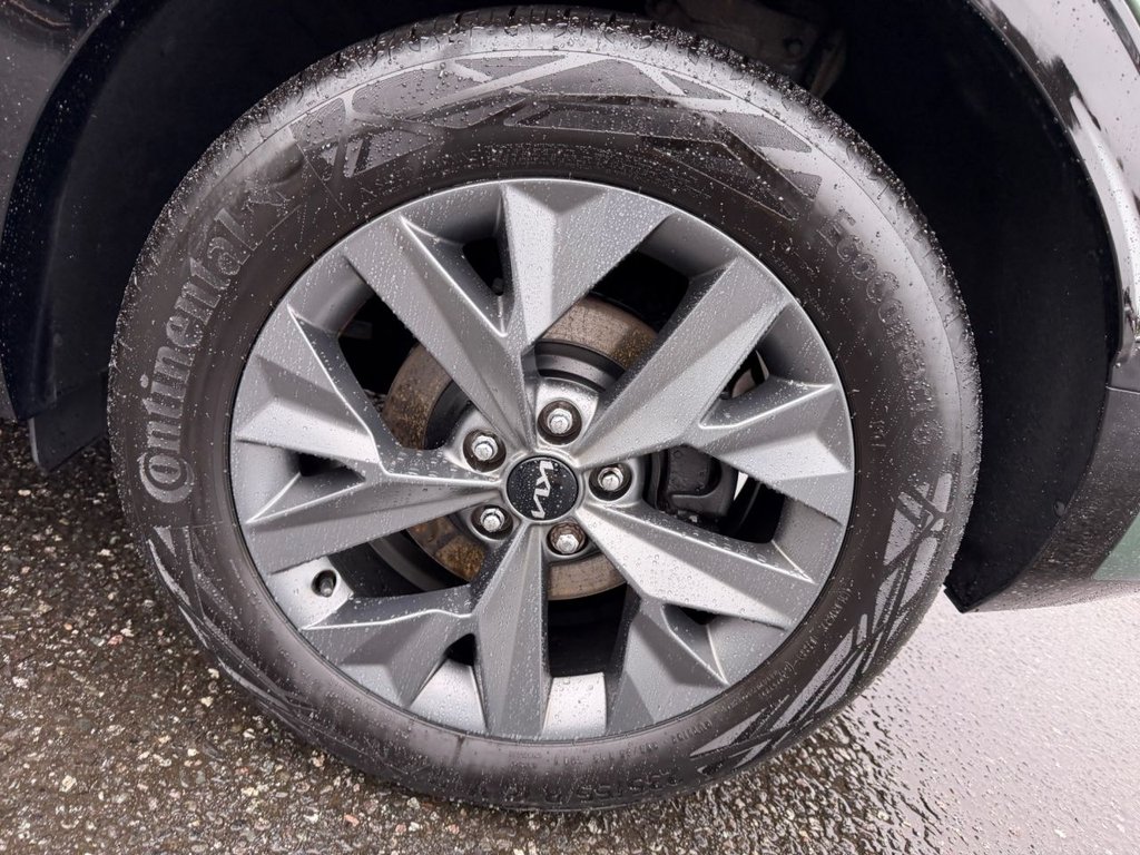 Used Kia Sportage 2023 for sale - 77276599: Photo 50