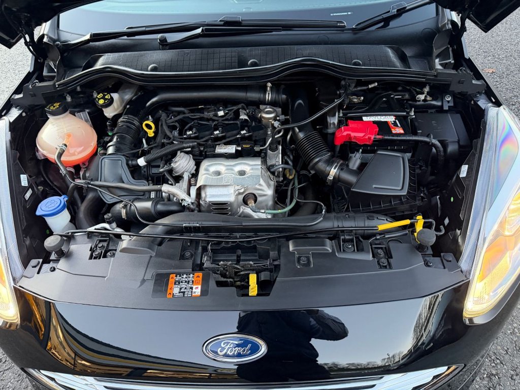 Used Ford Fiesta 2019 for sale - 76698099: Photo 23