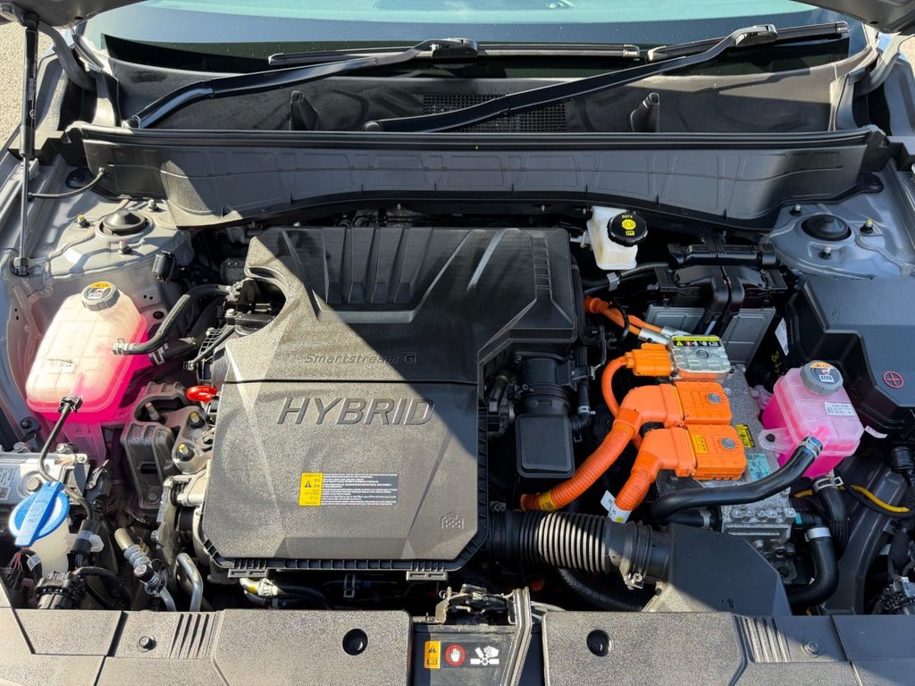 Used Hyundai KONA 2023 for sale - 78124495: Photo 28