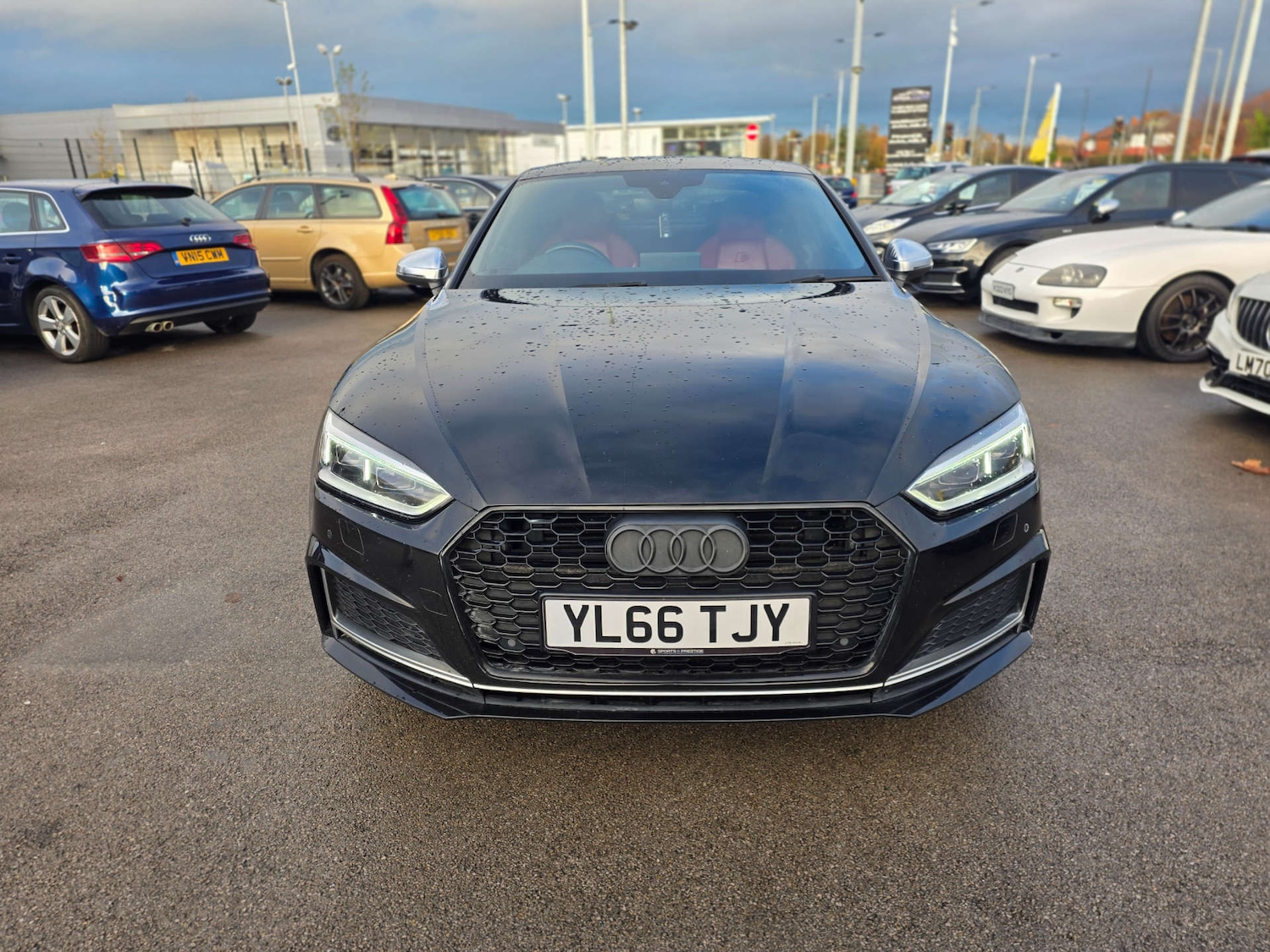 Used Audi A5 2017 for sale - 76690642: Photo 3