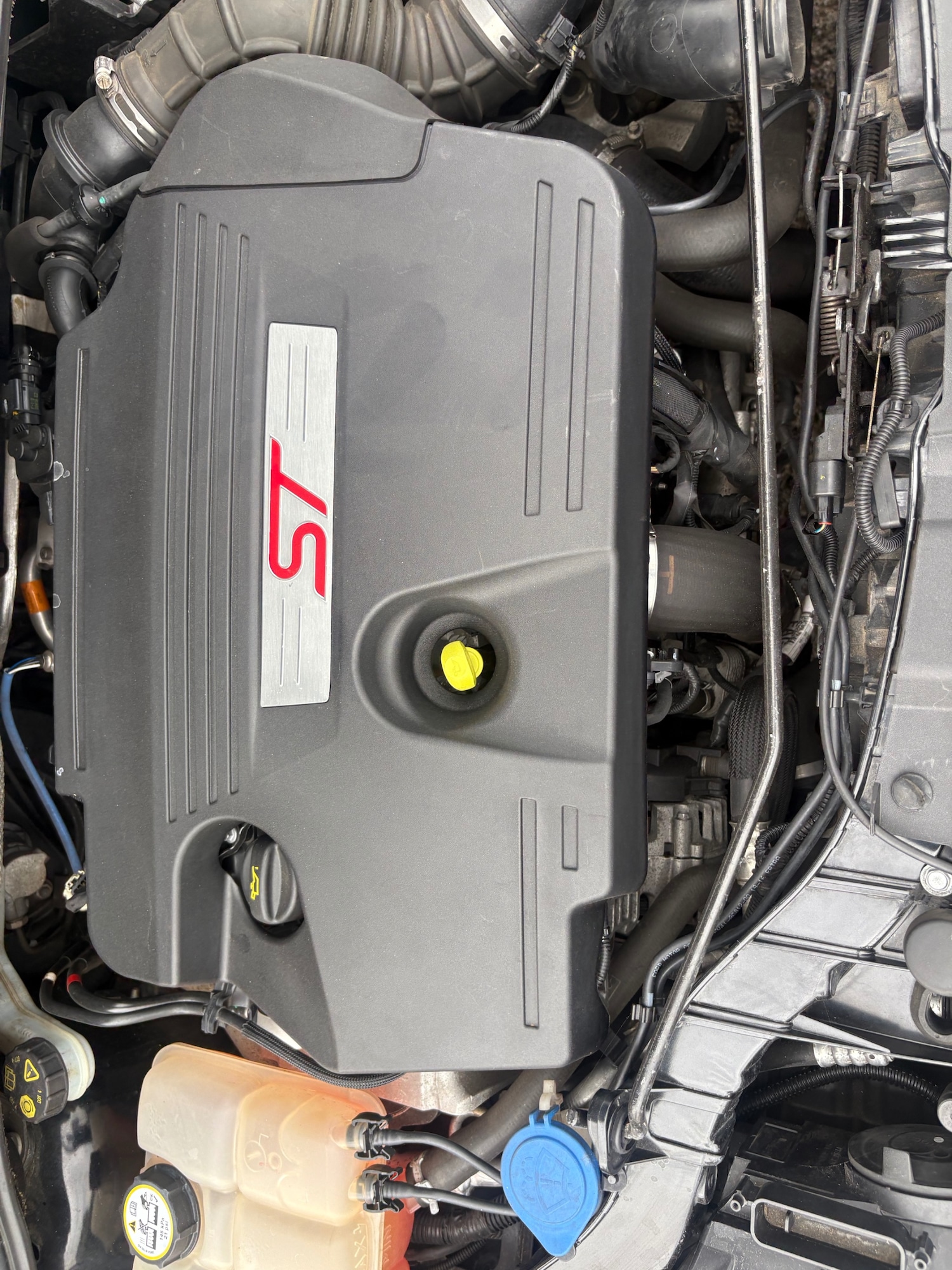 Used Ford Focus 2016 for sale - 76477564: Photo 12