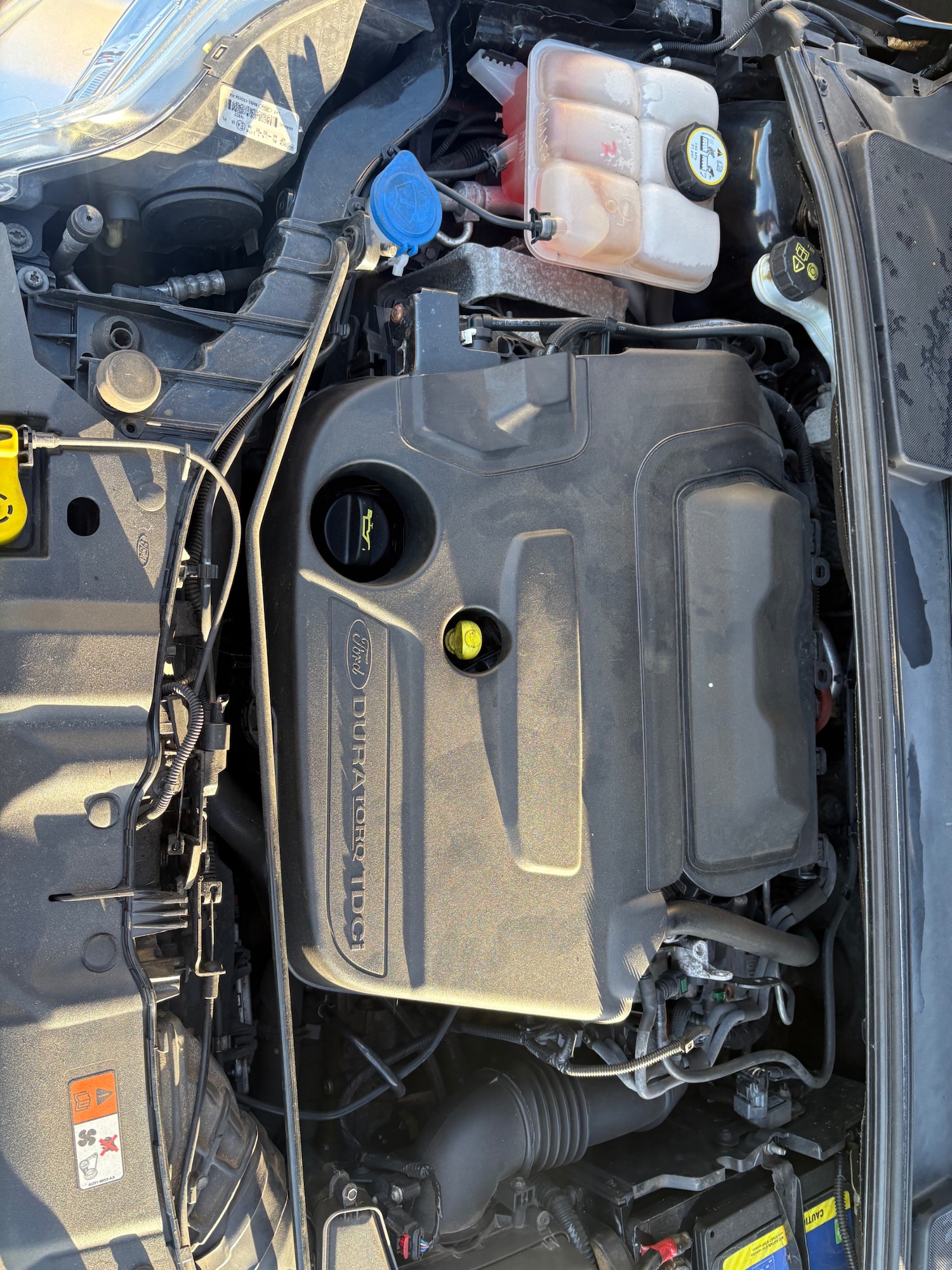 Used Ford Focus 2014 for sale - 76777115: Photo 11