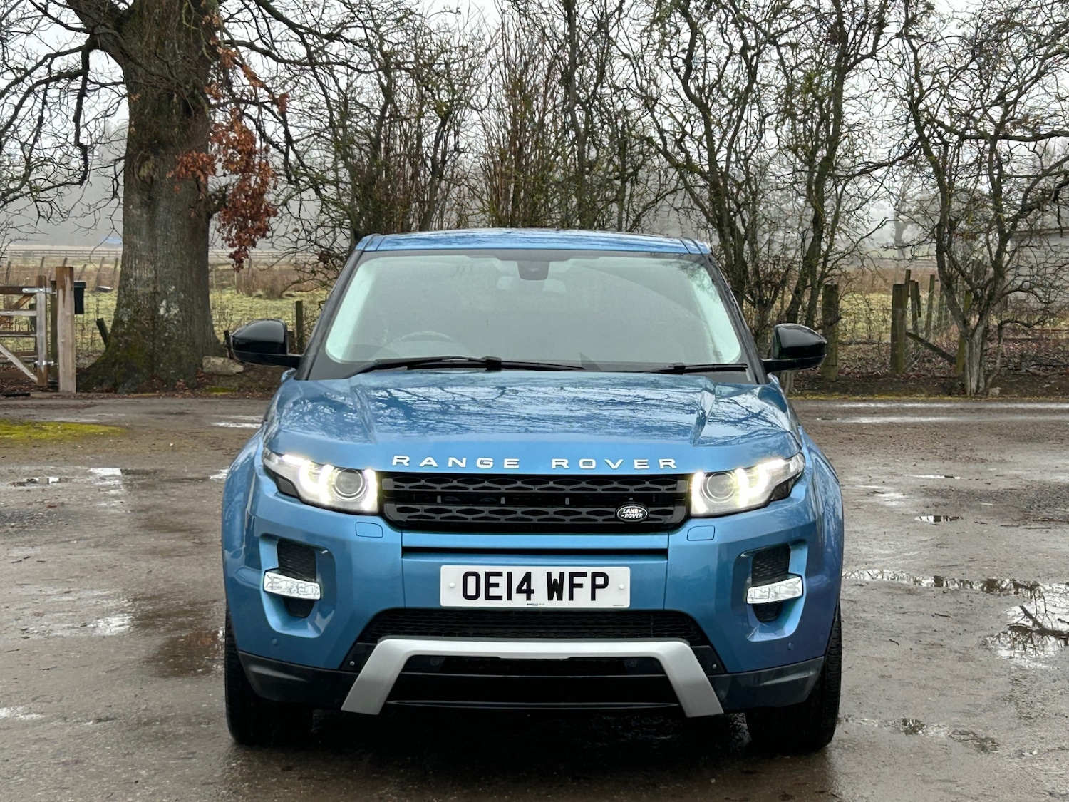 Used Land Rover Range Rover Evoque 2014 for sale - 77628875: Photo 2