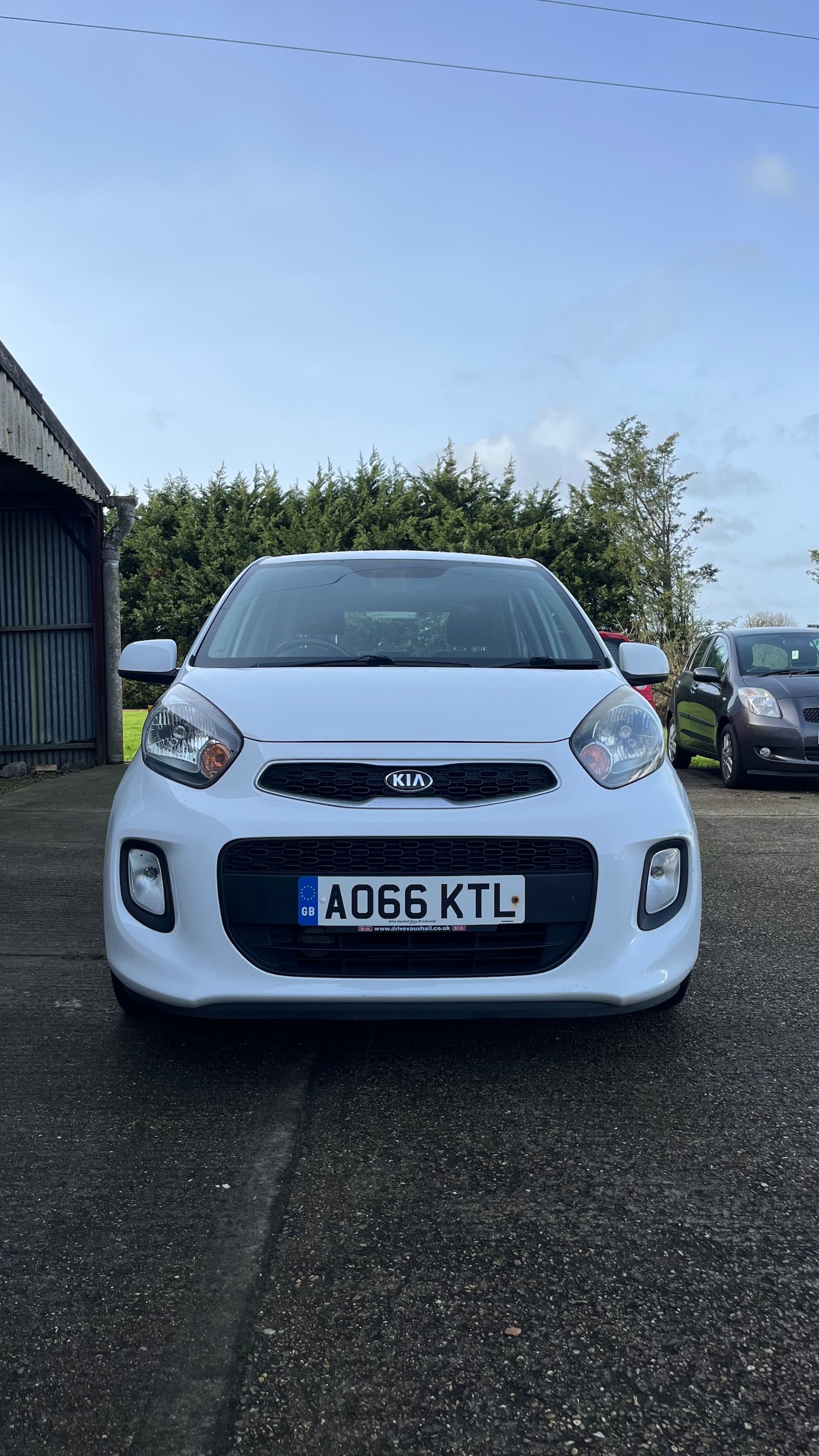 Used Kia Picanto 2016 for sale - 77677439: Photo 2