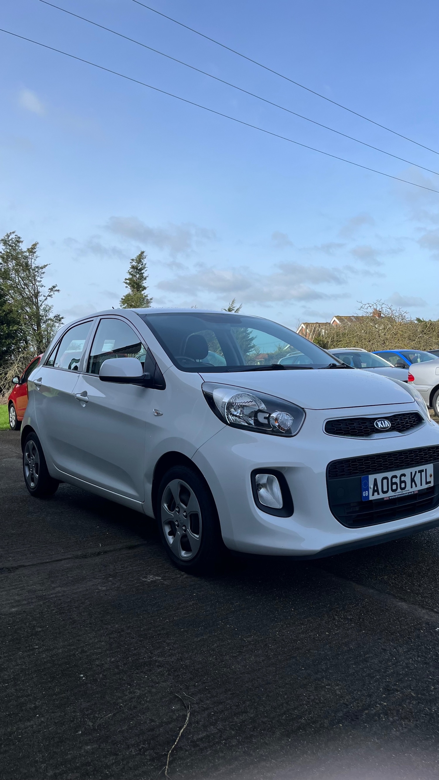 Used Kia Picanto 2016 for sale - 77677439: Photo 4
