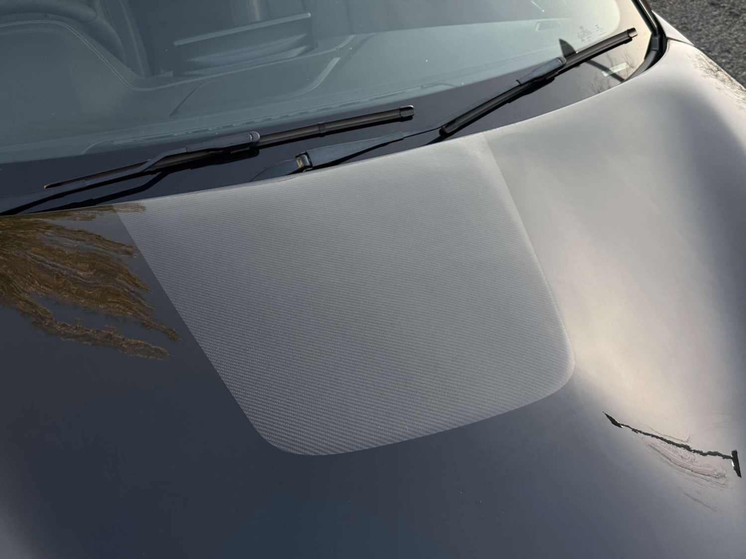 Used BMW M2 2019 for sale - 77669310: Photo 15