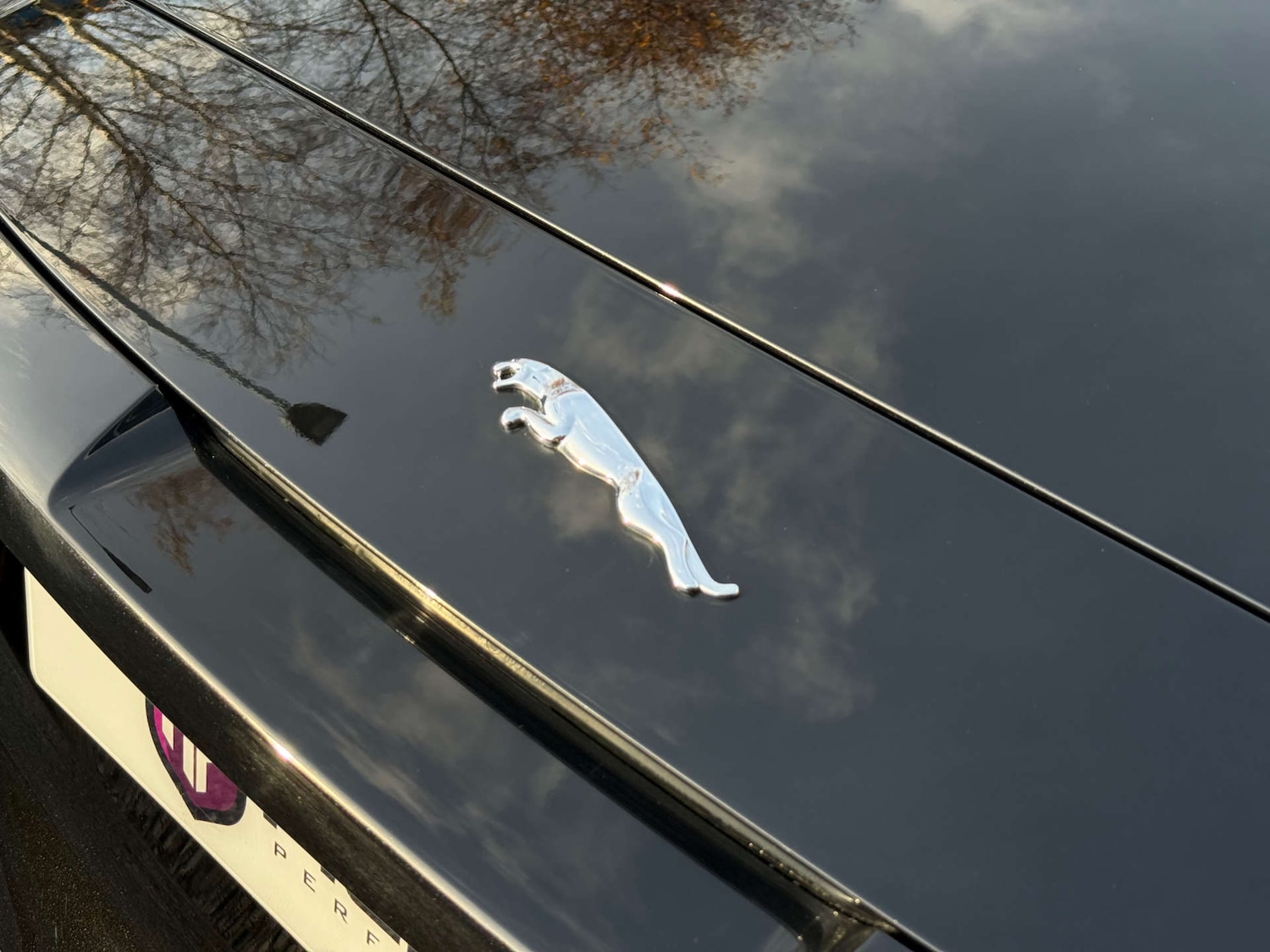 Used Jaguar F-Type 2013 for sale - 76935488: Photo 48