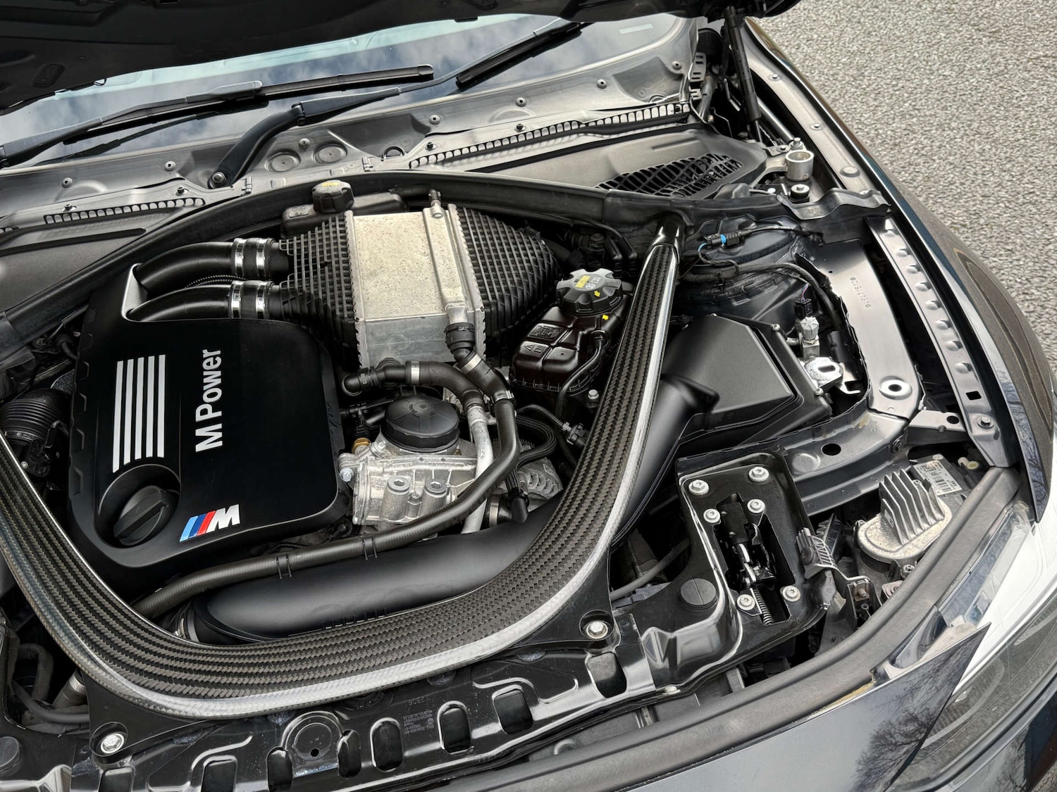 Used BMW M4 2017 for sale - 77920717: Photo 57