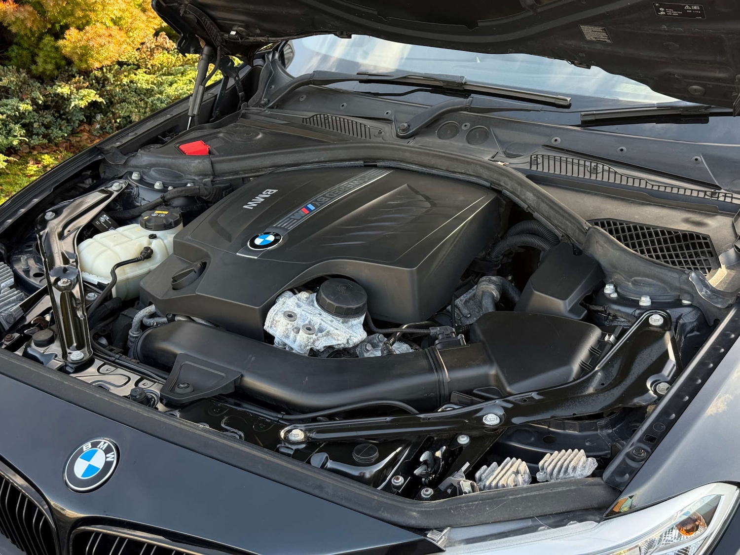 Used BMW M2 2016 for sale - 76936761: Photo 49