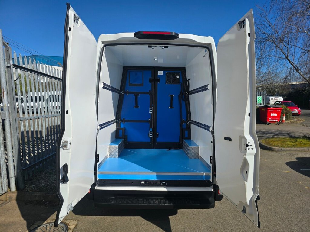 Used Iveco Daily 2025 for sale - 77919890: Photo 12