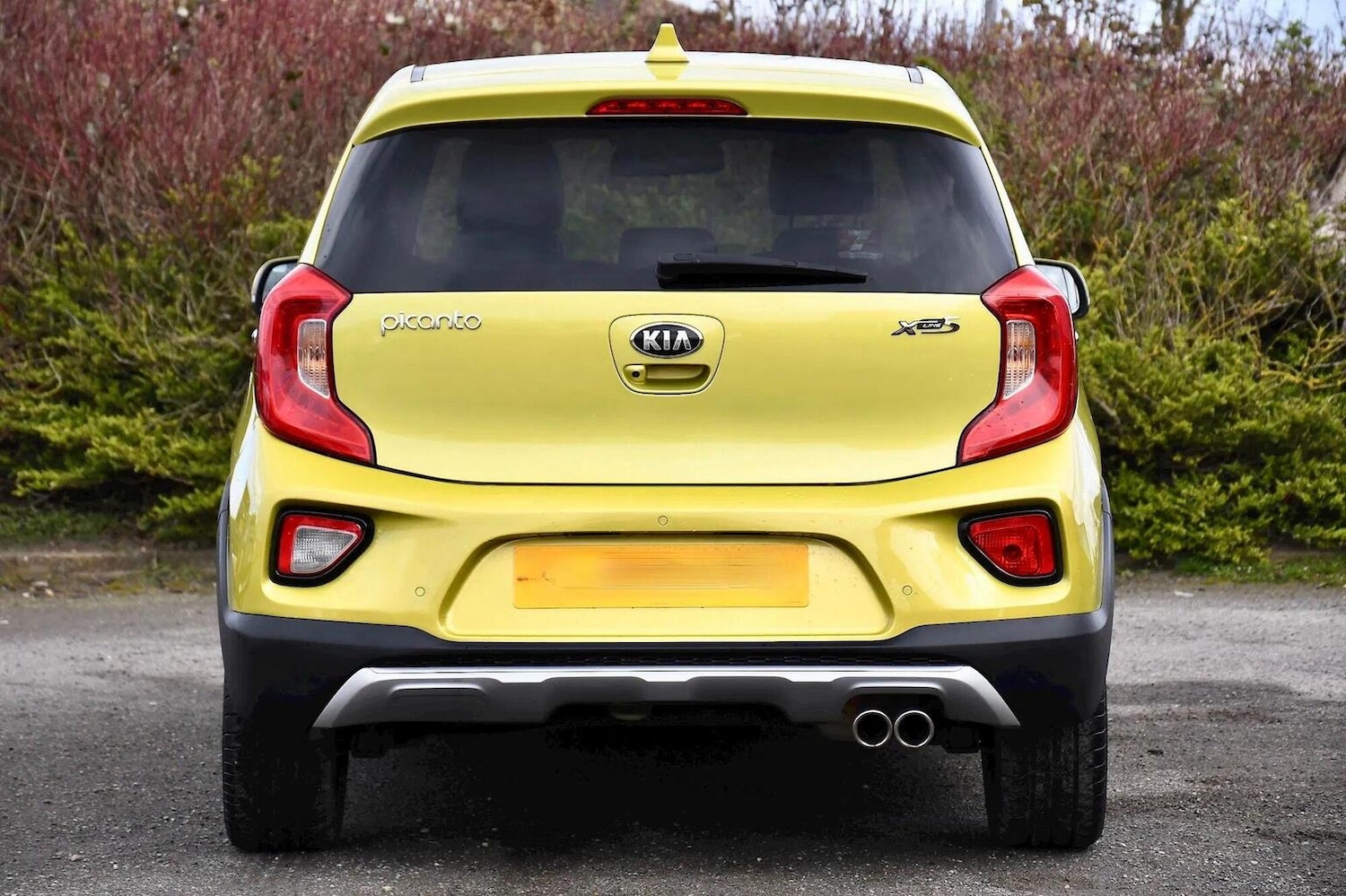 Used Kia Picanto 2019 for sale - 76624392: Photo 5