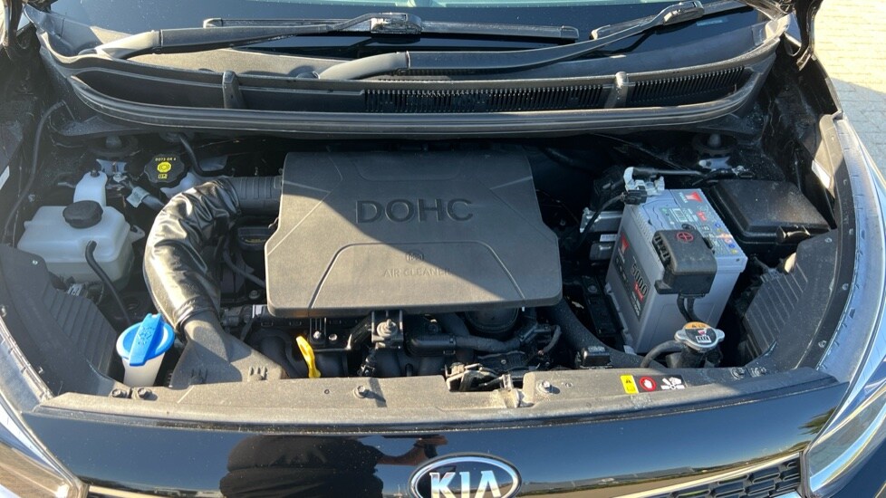 Used Kia Picanto 2019 for sale - 76033719: Photo 16