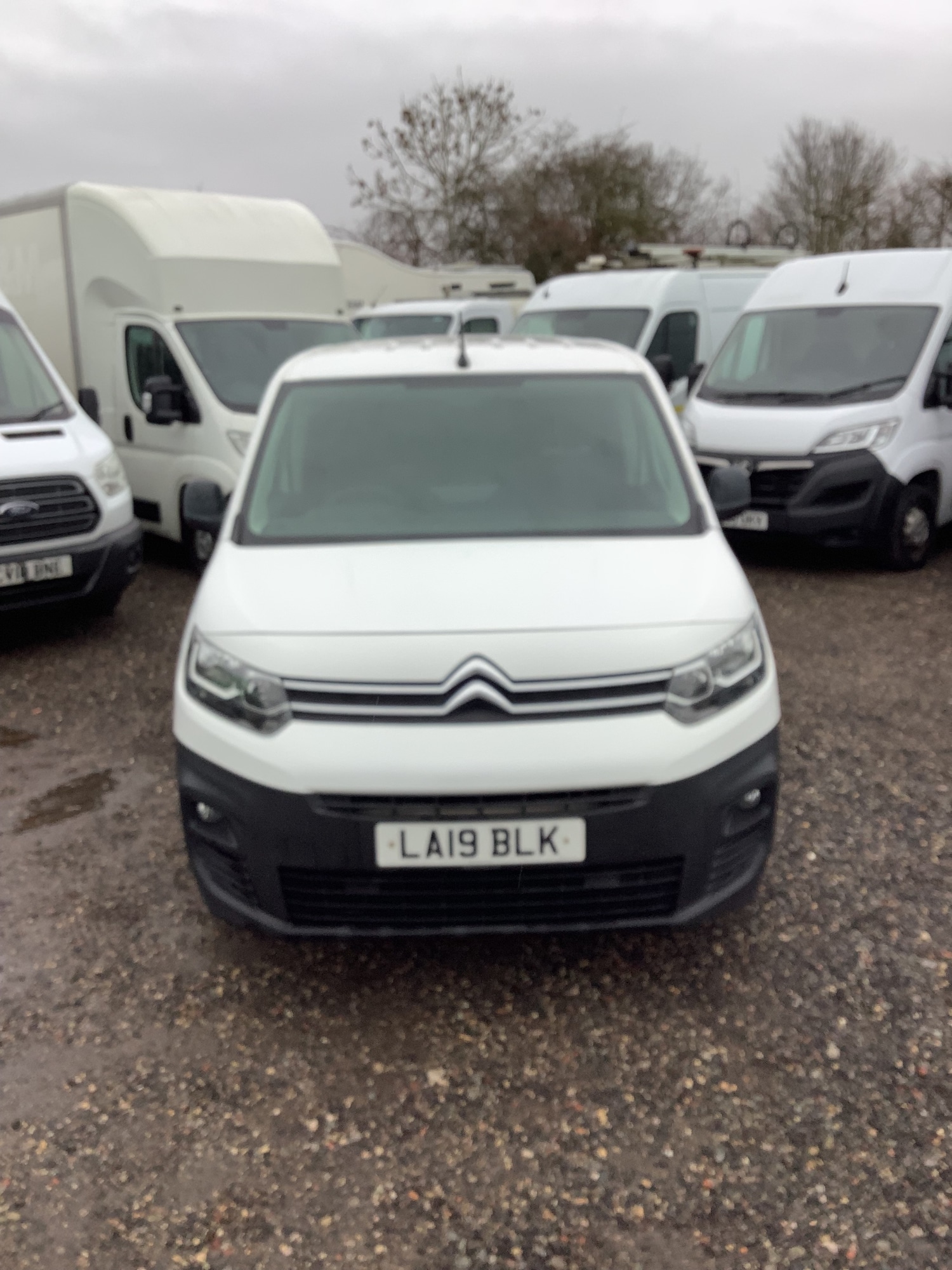 Used Citroen Berlingo 2019 for sale - 77211268: Photo 3