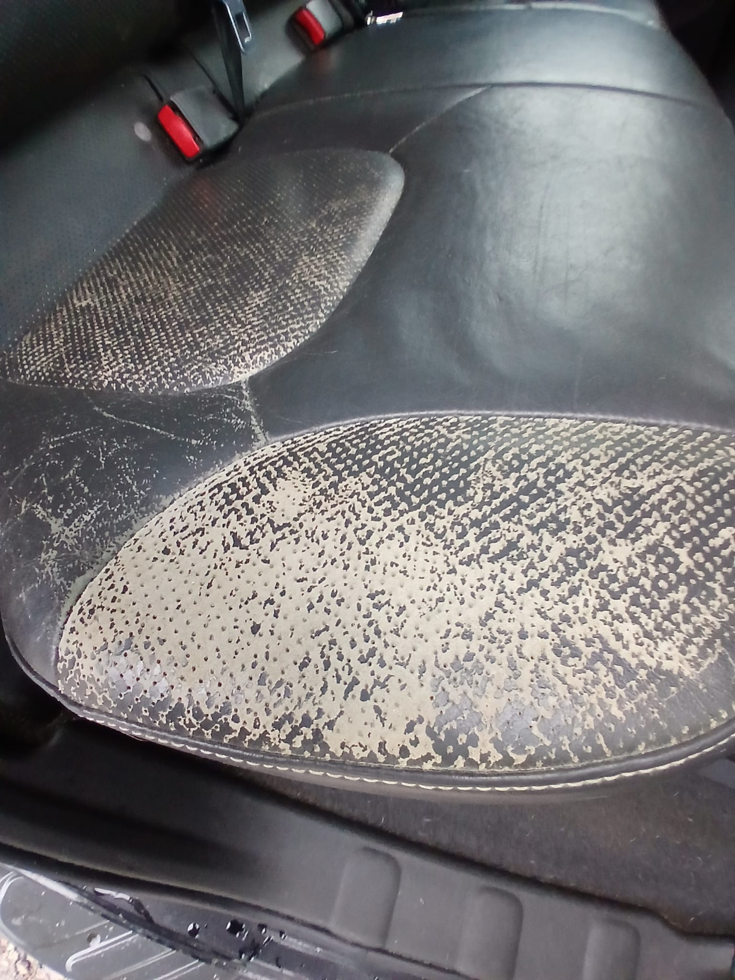 Used Nissan Navara 2013 for sale - 77542592: Photo 12