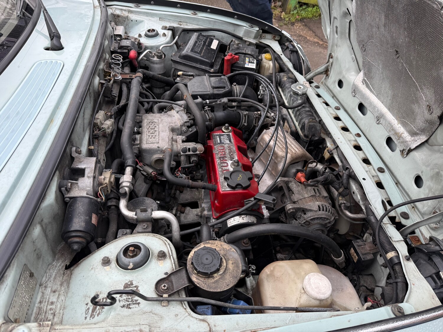 Used Nissan Figaro 2006 for sale - 77529795: Photo 11