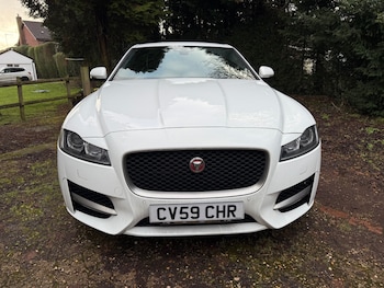Used Jaguar XF 2016 for sale - 77234613: Photo