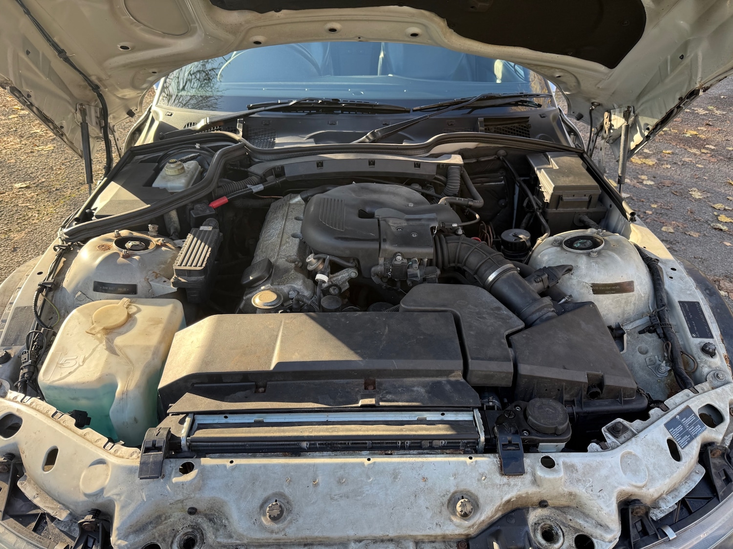 Used BMW Z3 2002 for sale - 76600195: Photo 12