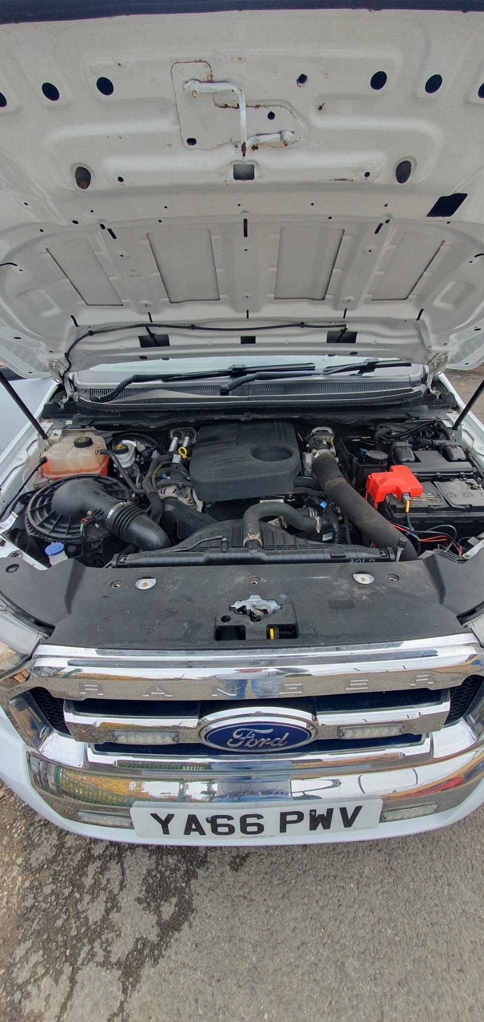 Used Ford Ranger 2017 for sale - 73619405: Photo 18