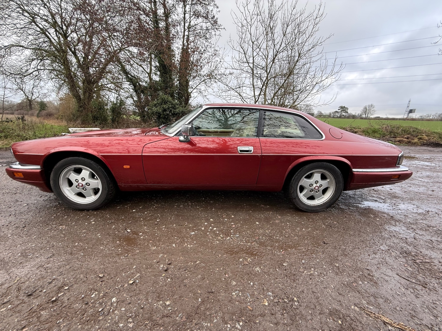 Used Jaguar XJS 1994 for sale - 77691095: Photo 11