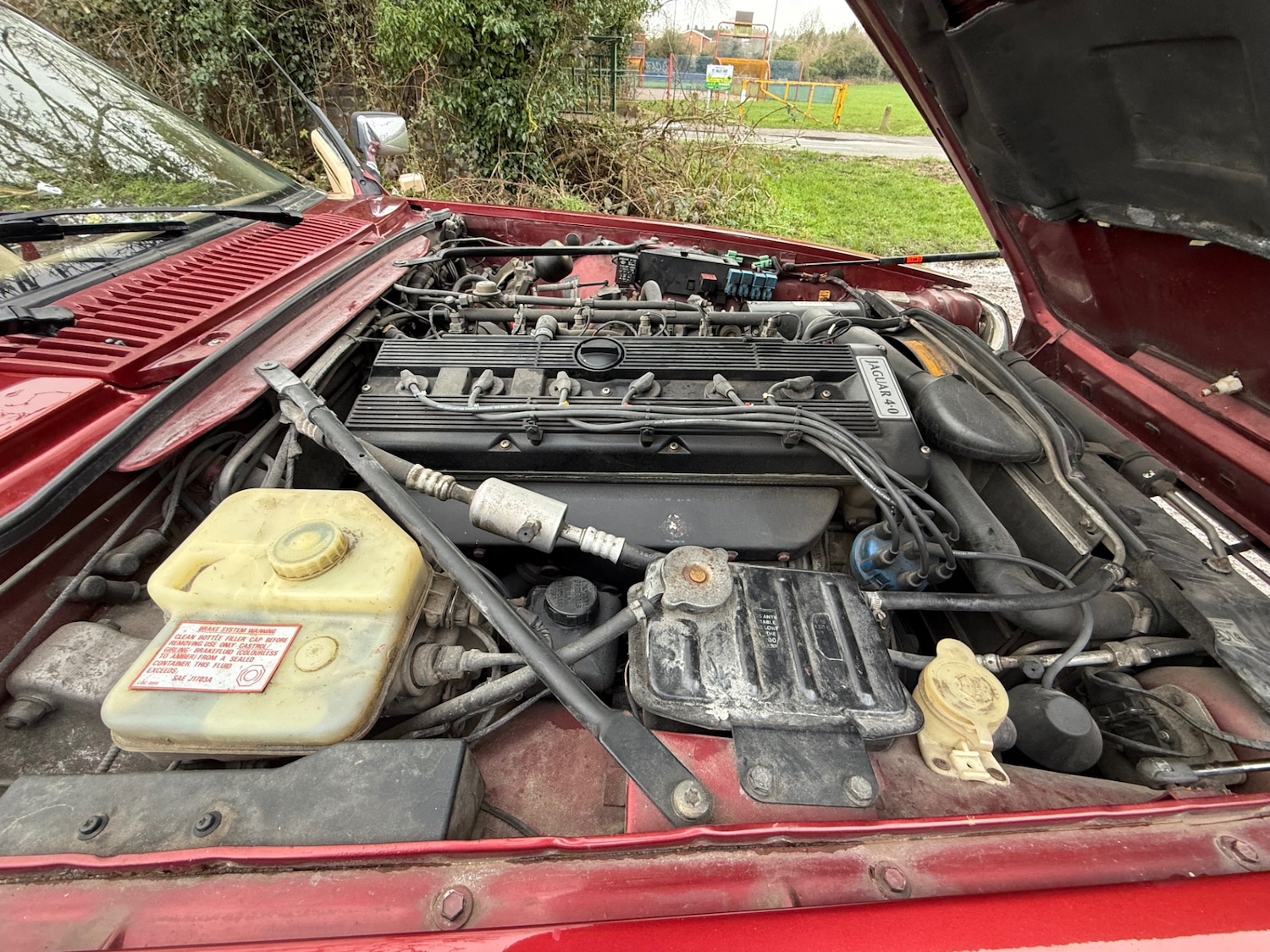 Used Jaguar XJS 1994 for sale - 77691095: Photo 21