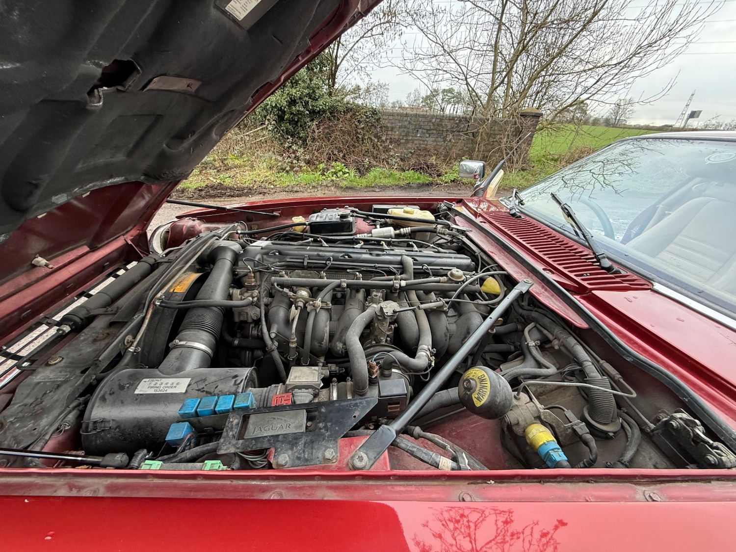 Used Jaguar XJS 1994 for sale - 77691095: Photo 22