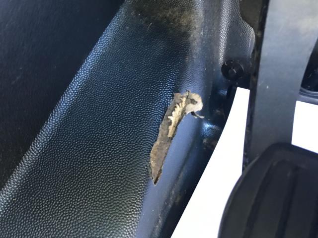 Used Peugeot Expert 2020 for sale - 76819370: Photo 33