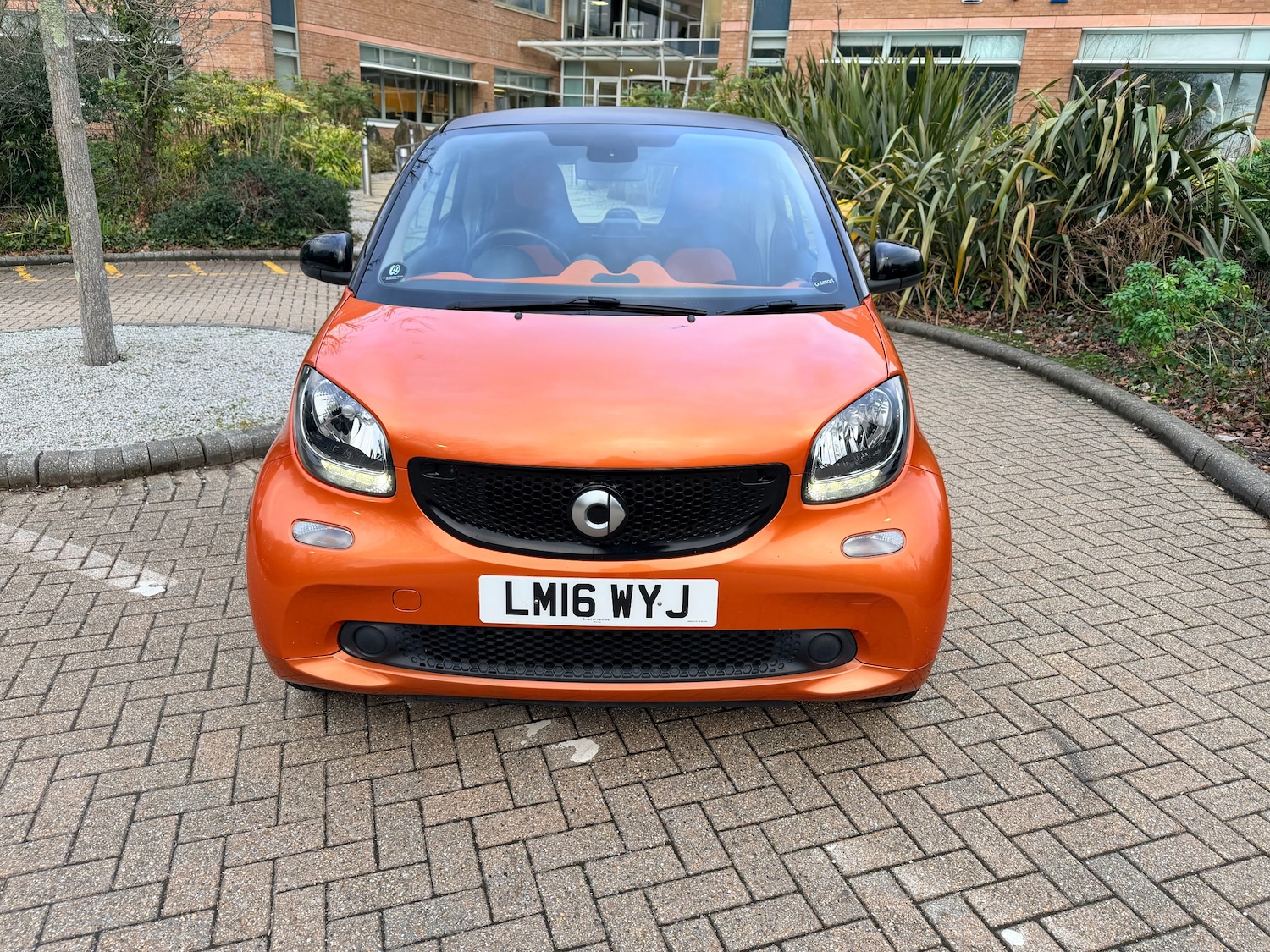 Used smart fortwo for sale - 77475068: Photo 3