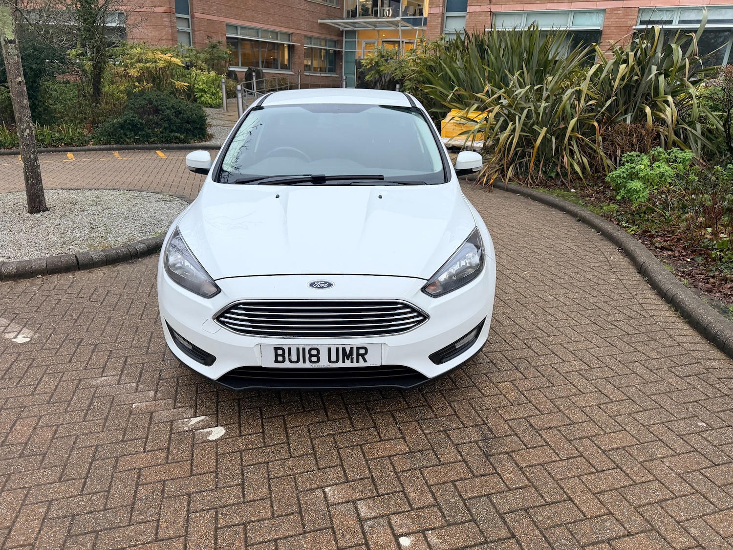 Used Ford Focus 2018 for sale - 77688202: Photo 3