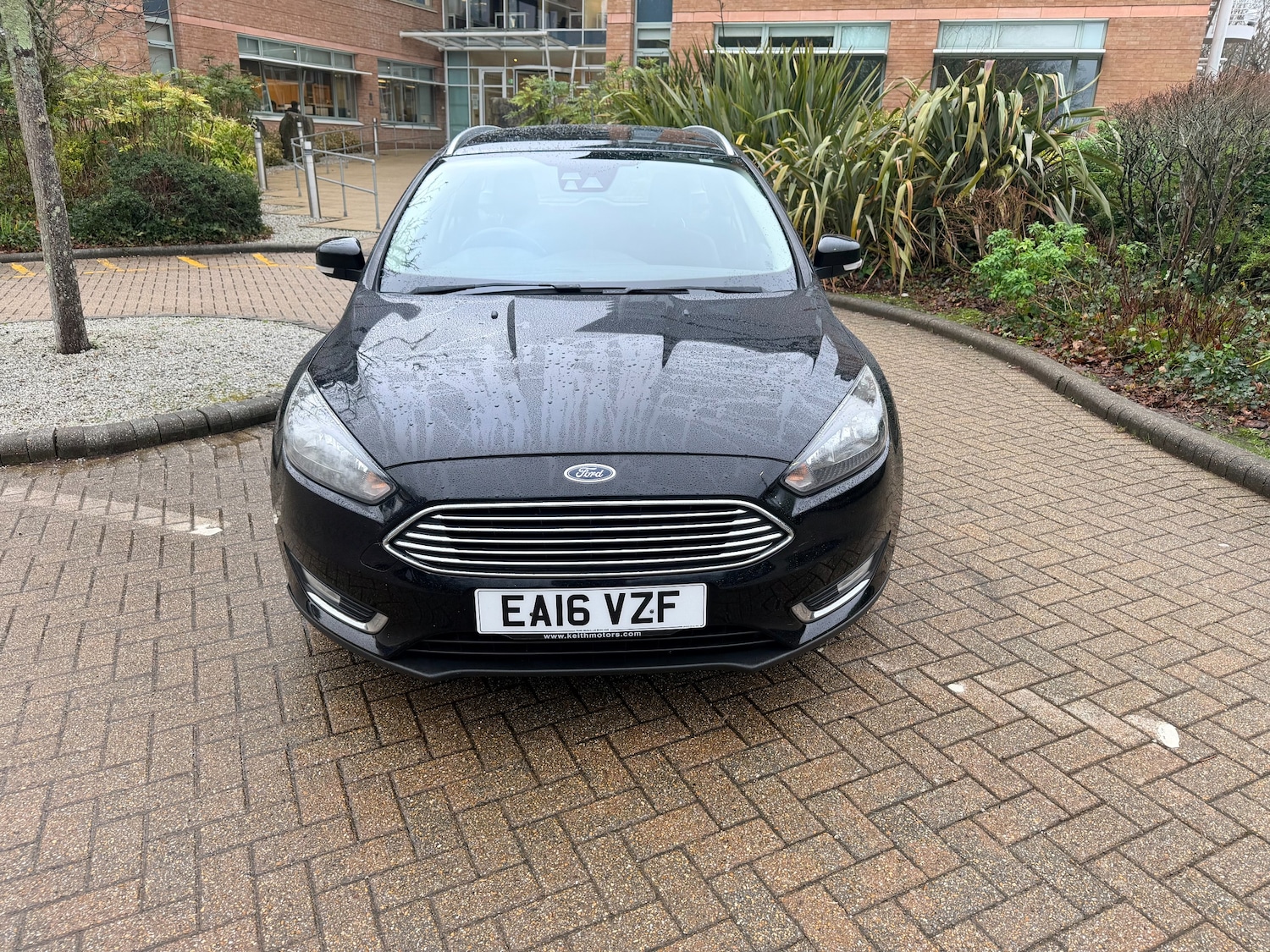 Used Ford Focus 2016 for sale - 77287350: Photo 3