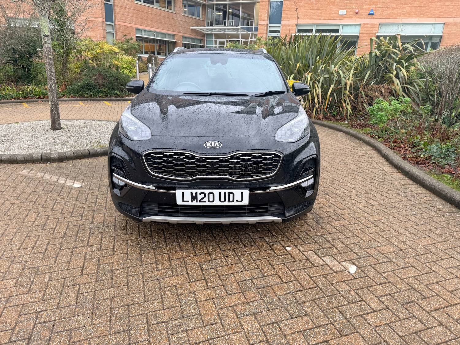 Used Kia Sportage 2020 for sale - 77341050: Photo 8