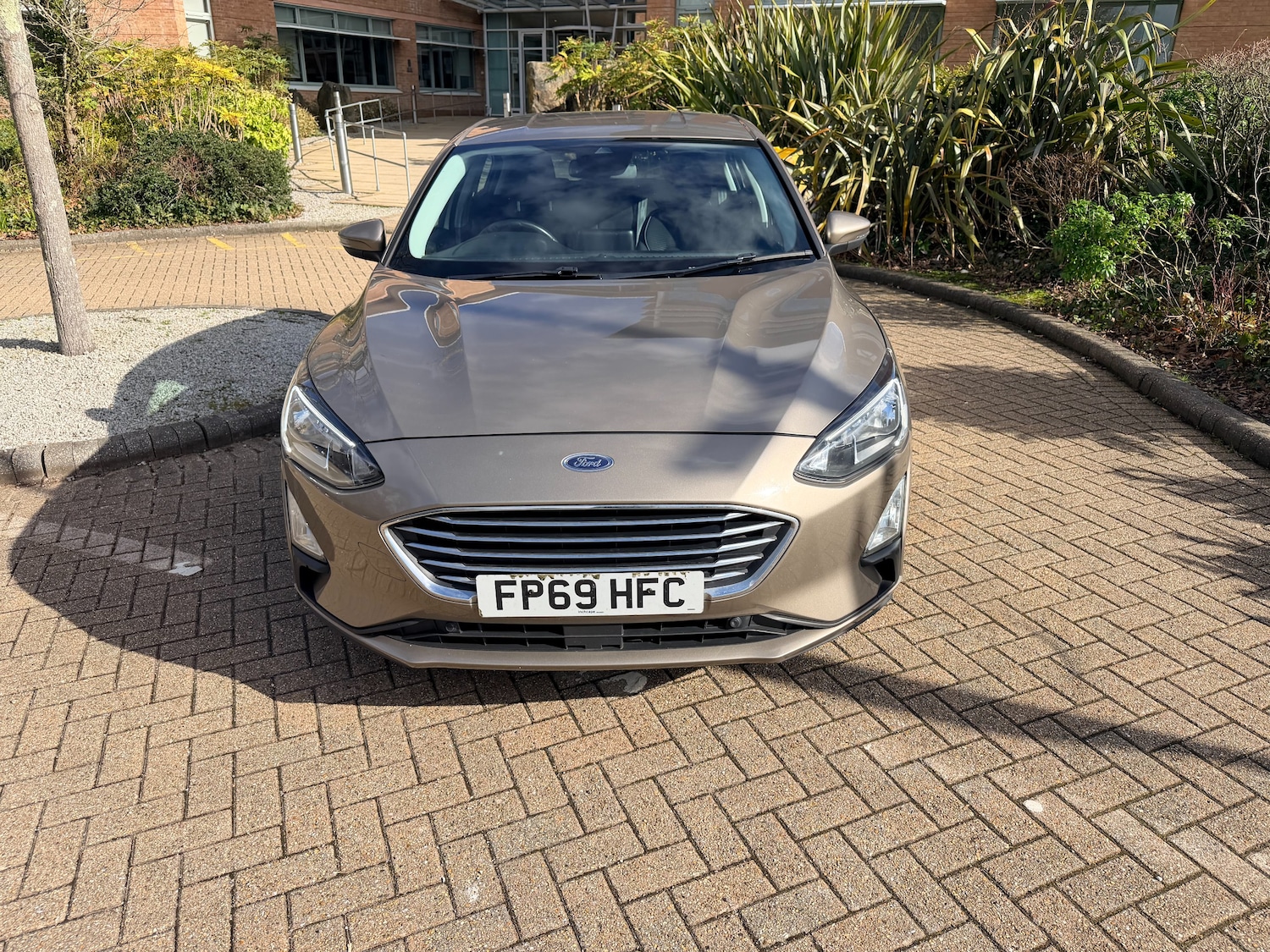 Used Ford Focus 2020 for sale - 77654088: Photo 3