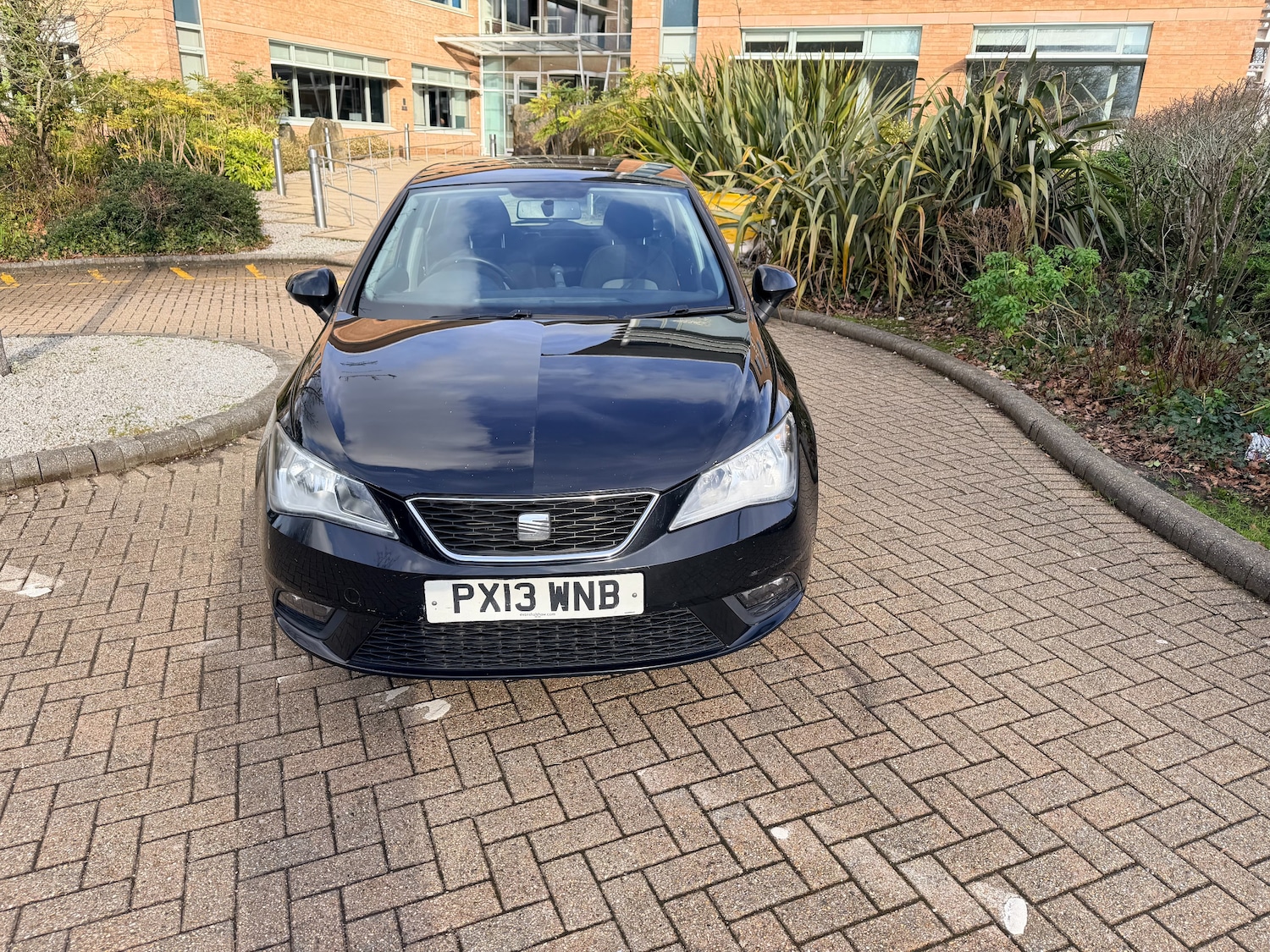 Used SEAT Ibiza 2013 for sale - 77539926: Photo 4