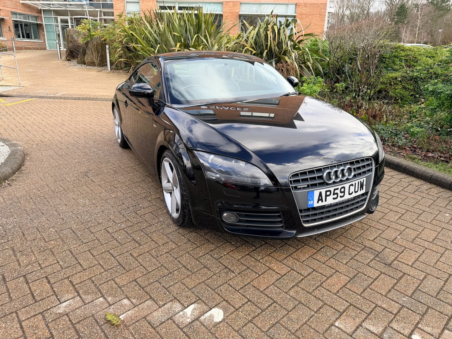 Used Audi TT 2009 for sale - 77389113: Photo 4