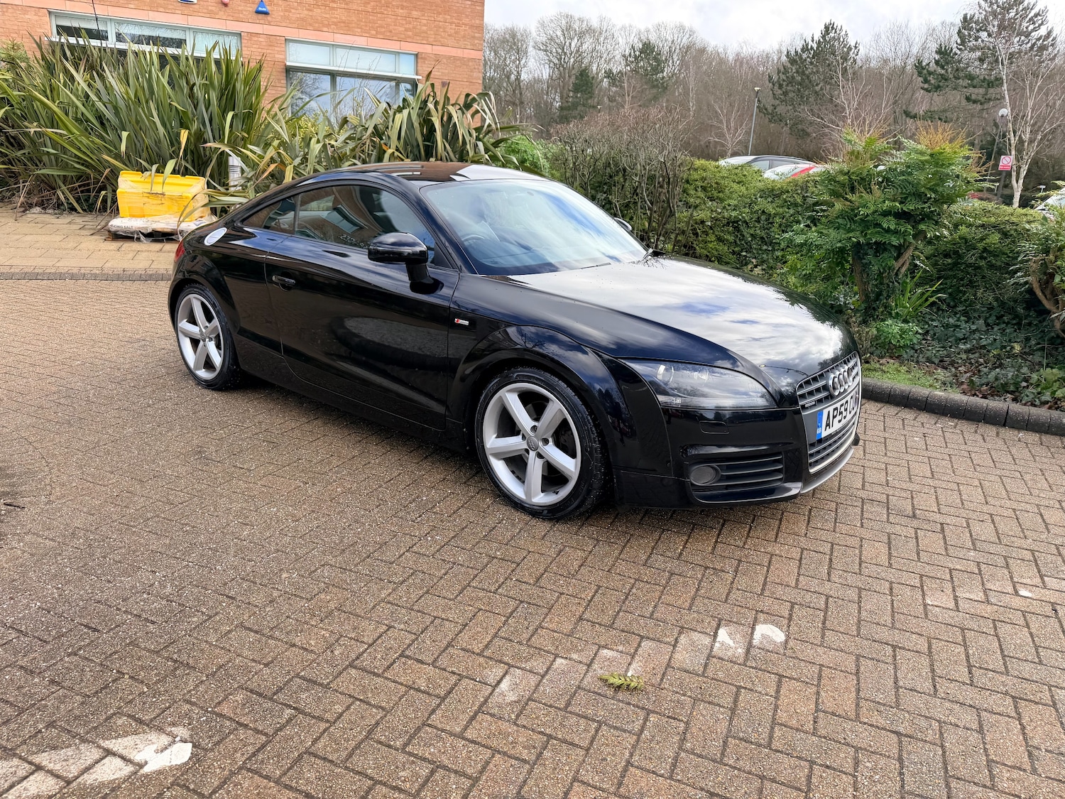 Used Audi TT 2009 for sale - 77389113: Photo 6