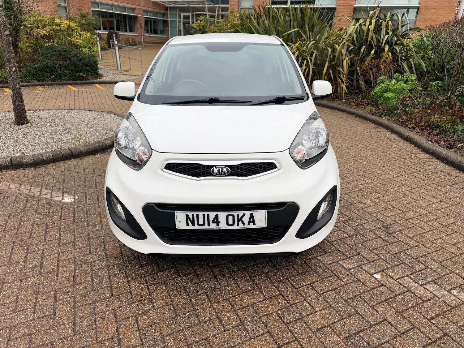 Used Kia Picanto 2014 for sale - 77506086: Photo 11