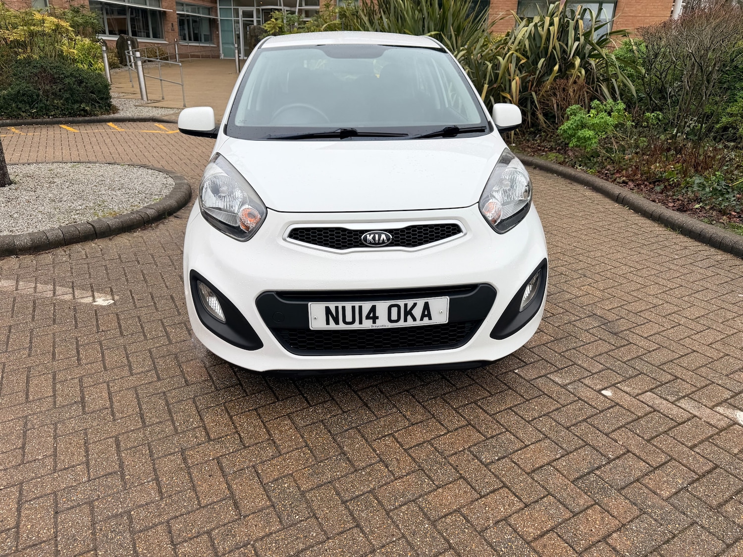 Used Kia Picanto 2014 for sale - 77506086: Photo 3