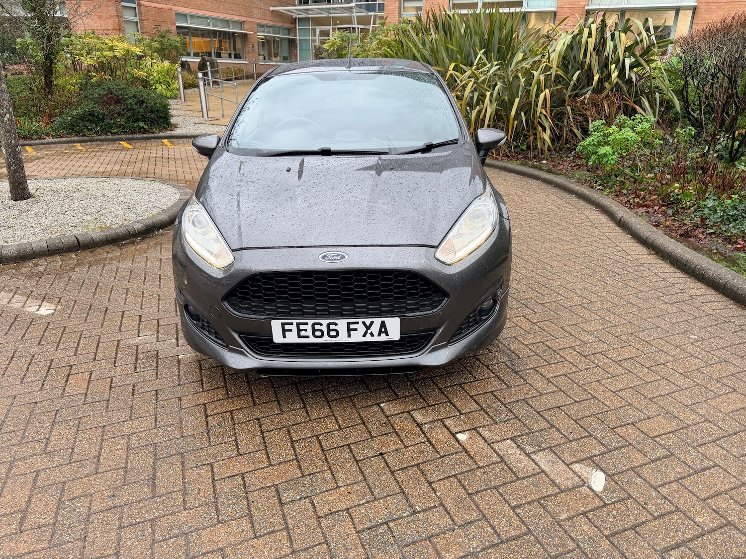 Used Ford Fiesta 2016 for sale - 77276754: Photo 3